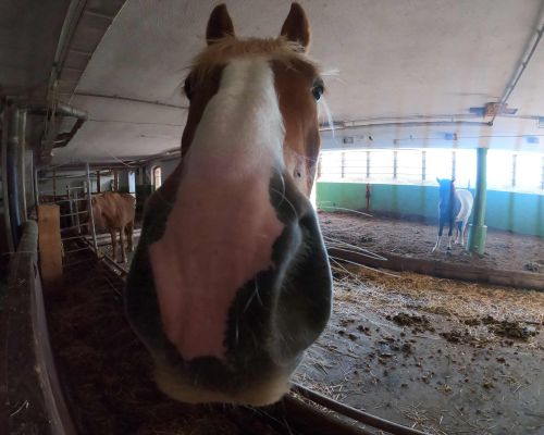  Fintan Sozial -  Menschen, die bei Fintan leben