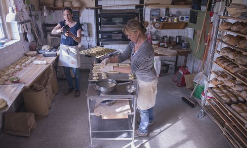 Sommerakademie Rheinau