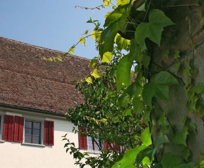 Fintan Sozial - Wohngruppe Gästehaus 