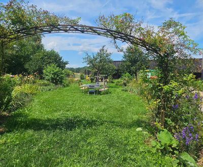 Fintan Sozial - Wohngruppe Pflug 