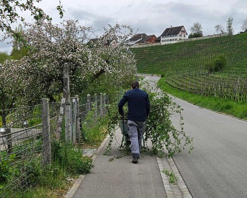  Fintan Sozial -  Menschen, die bei Fintan leben