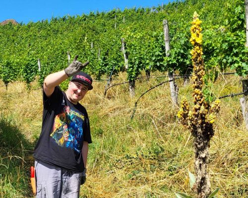  Fintan Sozial -  Menschen, die bei Fintan leben