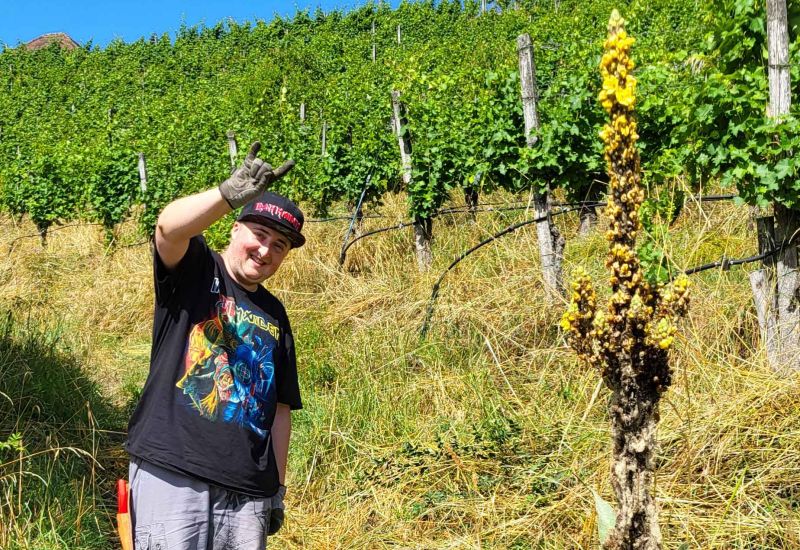  Fintan Sozial -  Rebbau & Waldgarten 