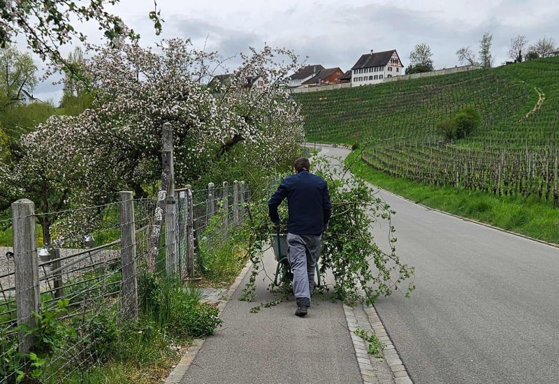  Fintan Sozial -  Stall & Feld