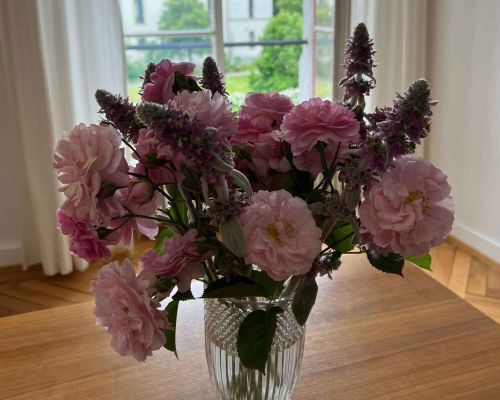  Fintan Sozial -  Floristik