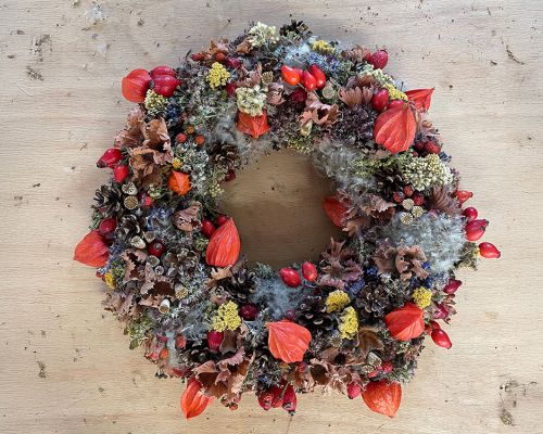  Fintan Sozial -  Floristik