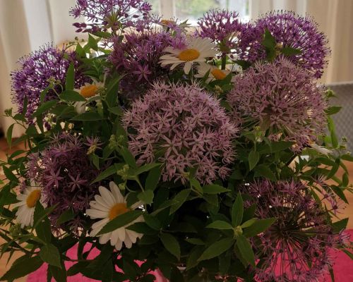  Fintan Sozial -  Floristik