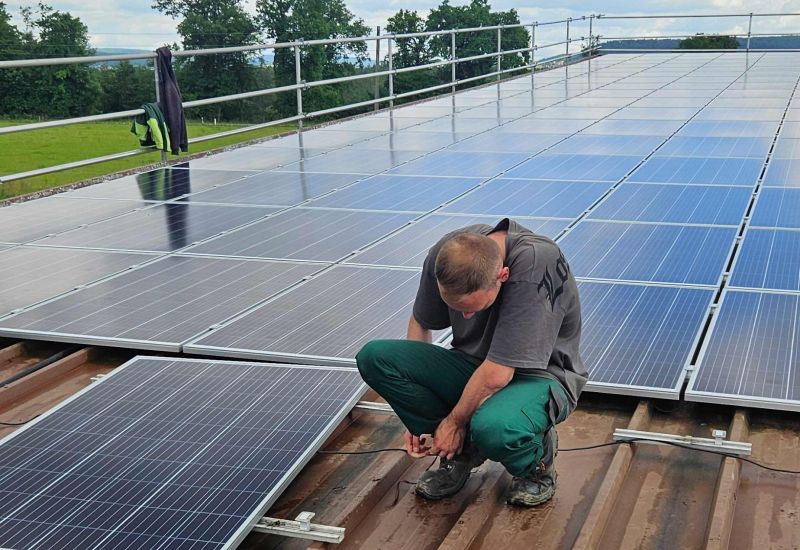  Fintan Sozial -  Stall & Feld