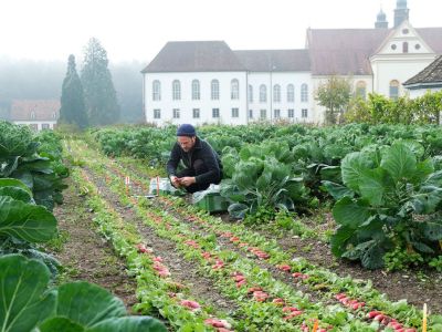  Fintan Sozial - Naturnaher Garten 