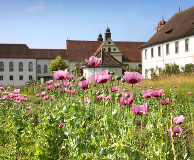 Fintan Sozial - Wohngruppe Gästehaus 