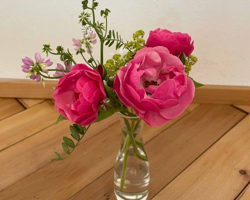  Fintan Sozial -  Floristik