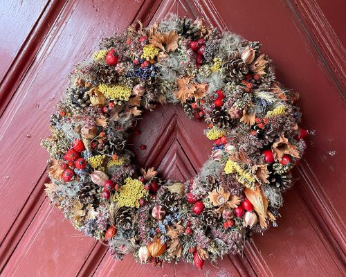  Fintan Sozial -  Floristik