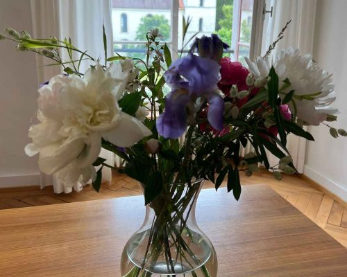  Fintan Sozial -  Floristik