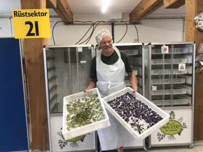  Fintan Sozial - Naturnaher Garten 