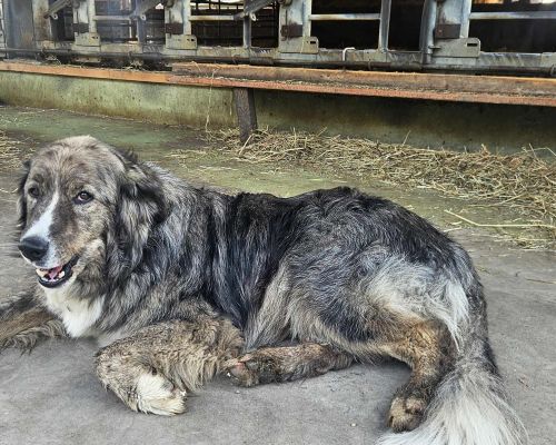  Fintan Sozial -  Menschen, die bei Fintan leben