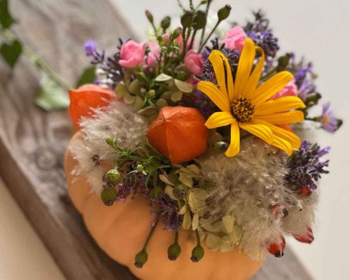  Fintan Sozial -  Floristik