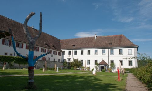 Sommerakademie Rheinau