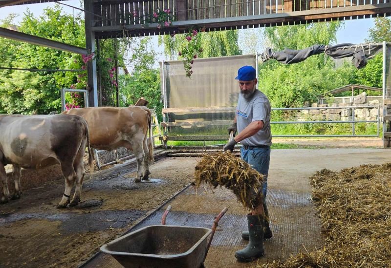  Fintan Sozial -  Stall & Feld