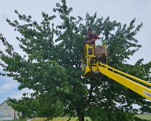  Fintan Sozial -  Menschen, die bei Fintan leben