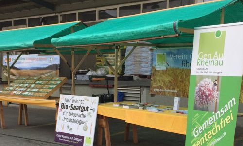 Sommerakademie Rheinau