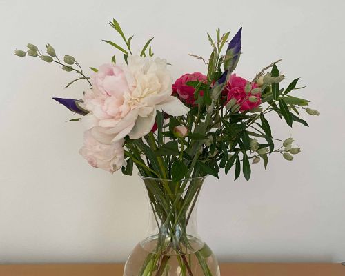  Fintan Sozial -  Floristik