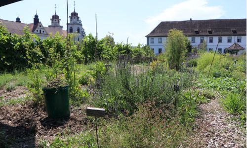 Fintan Sozial Permadynamischer Garten