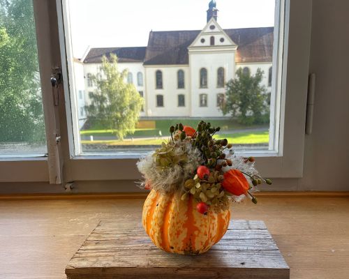  Fintan Sozial -  Floristik