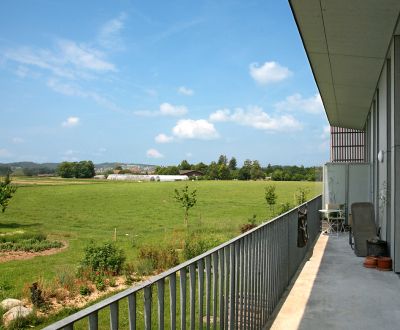 Fintan Sozial - Wohngruppe Pflug 