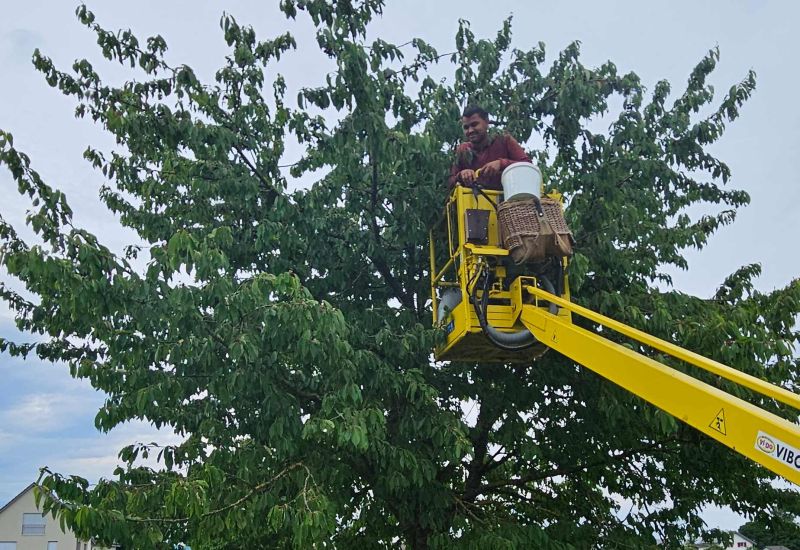  Fintan Sozial -  Stall & Feld